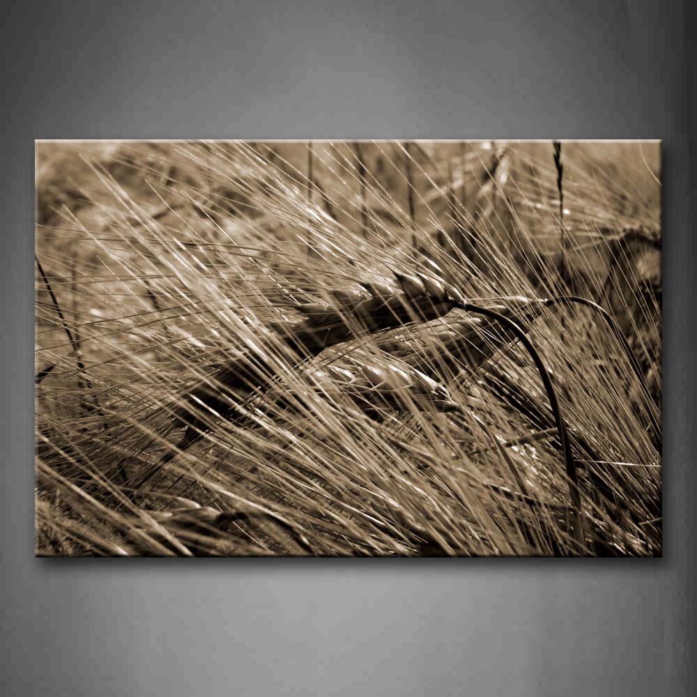 Ripe Wheat Like Withered Grass Wall Art Painting The Picture Print On Canvas Botanical Pictures For Home Decor Decoration Gift 