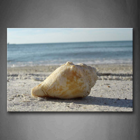 A Big Shell On The Beach Wall Art Painting Pictures Print On Canvas Seascape The Picture For Home Modern Decoration 