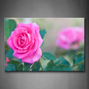 Pink A Beautiful Fresh Rose With Leafs Wall Art Painting Pictures Print On Canvas Flower The Picture For Home Modern Decoration 