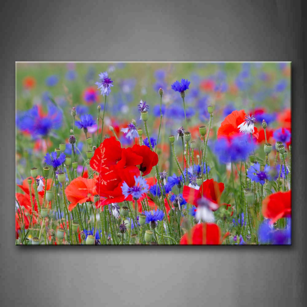 Red Two Kinds Of Flowers Wall Art Painting Pictures Print On Canvas Flower The Picture For Home Modern Decoration 