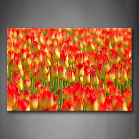 A Sheet Of Red Pulips Wall Art Painting The Picture Print On Canvas Flower Pictures For Home Decor Decoration Gift 