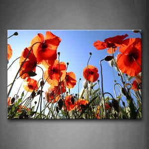 A Lot Of Poppy Under The Sun Wall Art Painting Pictures Print On Canvas Flower The Picture For Home Modern Decoration 