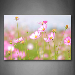 Pink And Yellow Flowers On Field Portrait Wall Art Painting Pictures Print On Canvas Flower The Picture For Home Modern Decoration 