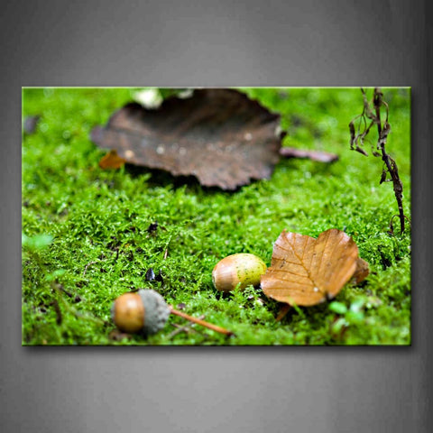 Fallen Acorns On The Green Ground Wall Art Painting Pictures Print On Canvas Botanical The Picture For Home Modern Decoration 