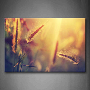 Several Wheats Under The Sun Wall Art Painting Pictures Print On Canvas Botanical The Picture For Home Modern Decoration 