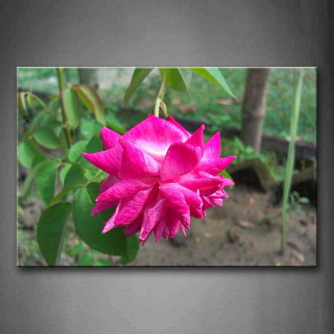 Pink Red Rose With Green Leafs  Wall Art Painting The Picture Print On Canvas Flower Pictures For Home Decor Decoration Gift 