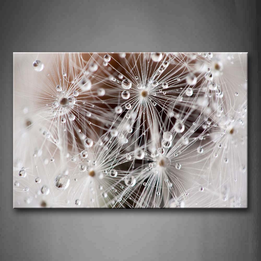 Water Drops On Small Plant Wall Art Painting Pictures Print On Canvas Flower The Picture For Home Modern Decoration 