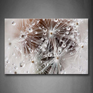 Water Drops On Small Plant Wall Art Painting Pictures Print On Canvas Flower The Picture For Home Modern Decoration 