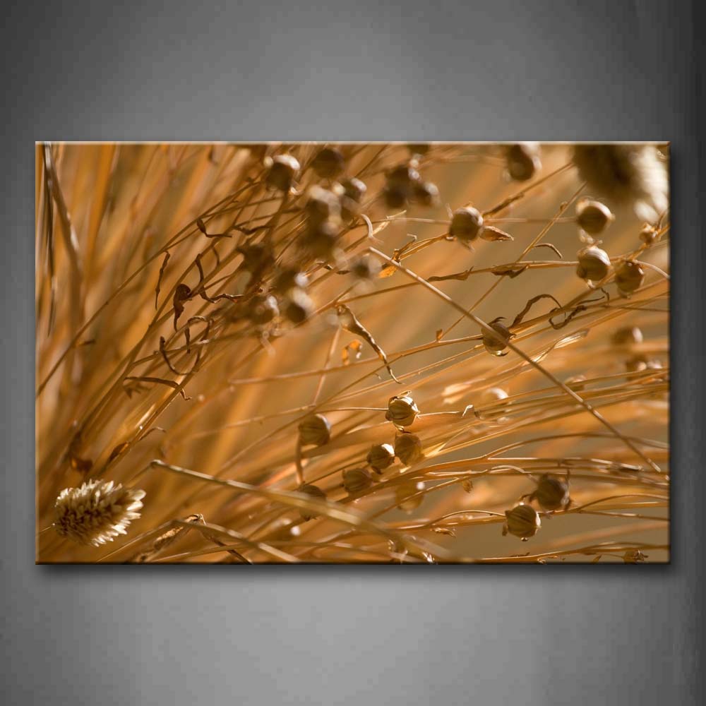 Some Dried-Up Plants Wall Art Painting Pictures Print On Canvas Botanical The Picture For Home Modern Decoration 