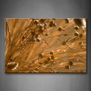 Some Dried-Up Plants Wall Art Painting Pictures Print On Canvas Botanical The Picture For Home Modern Decoration 