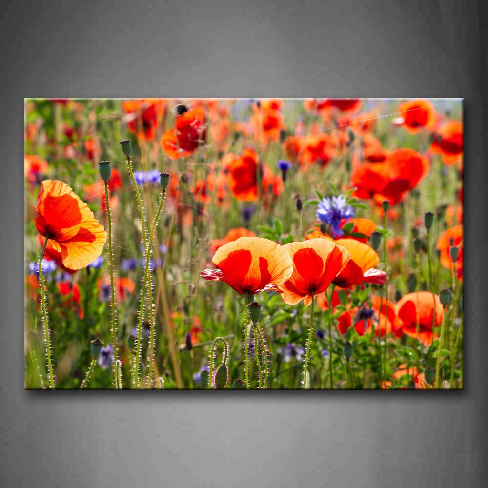 Red And Purple Flowers Like Butterflies Wall Art Painting The Picture Print On Canvas Flower Pictures For Home Decor Decoration Gift 