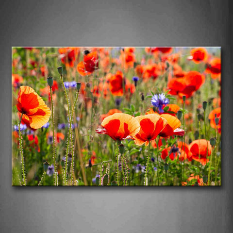 Red And Purple Flowers Like Butterflies Wall Art Painting The Picture Print On Canvas Flower Pictures For Home Decor Decoration Gift 