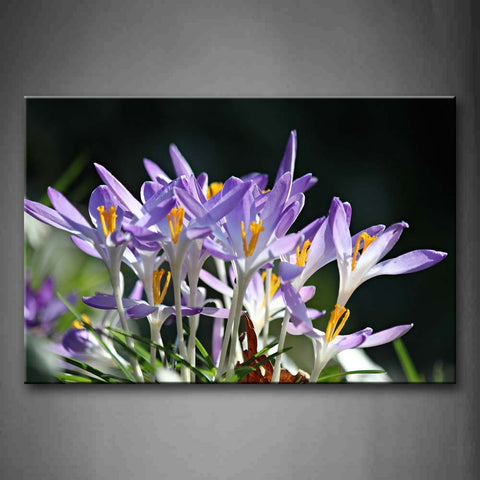 Small Purple Flowers Wall Art Painting Pictures Print On Canvas Flower The Picture For Home Modern Decoration 
