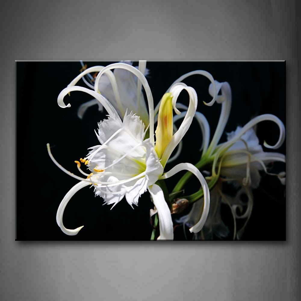 Strange White Flowers Wall Art Painting The Picture Print On Canvas Flower Pictures For Home Decor Decoration Gift 