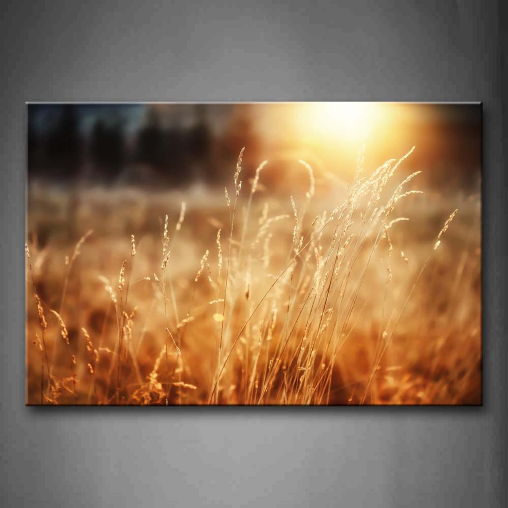 Wheats In The Sun Wall Art Painting Pictures Print On Canvas Flower The Picture For Home Modern Decoration 