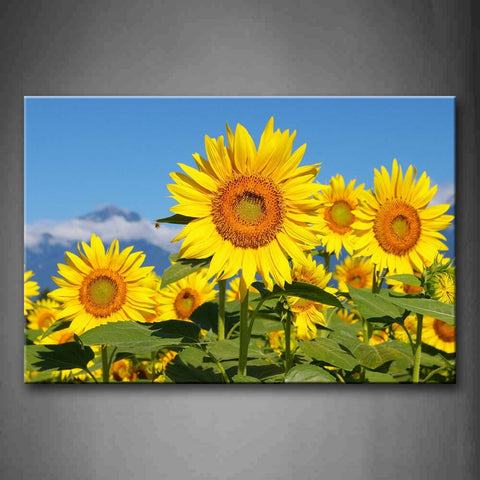 A Lot Of Sunflowers  Wall Art Painting The Picture Print On Canvas Flower Pictures For Home Decor Decoration Gift 
