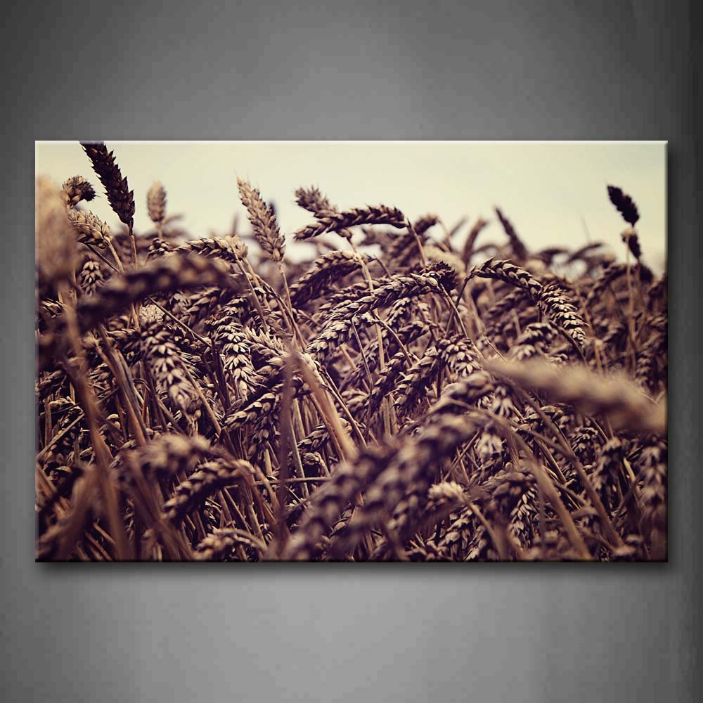 Dried-Up Wheats Wall Art Painting The Picture Print On Canvas Botanical Pictures For Home Decor Decoration Gift 