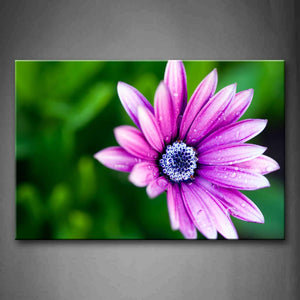 Pink A Small Purple Flower With Drop Of Water Wall Art Painting Pictures Print On Canvas Flower The Picture For Home Modern Decoration 