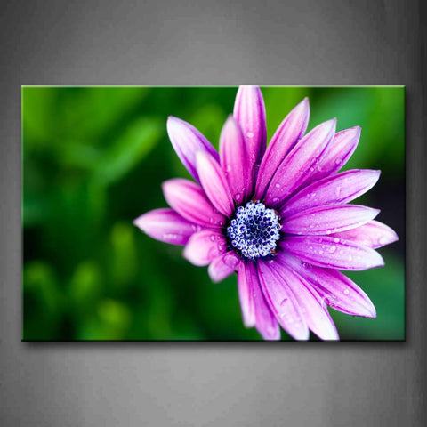 Pink A Small Purple Flower With Drop Of Water Wall Art Painting Pictures Print On Canvas Flower The Picture For Home Modern Decoration 