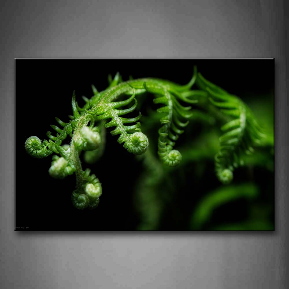 Leaves Of The Twisty Plant  Wall Art Painting The Picture Print On Canvas Flower Pictures For Home Decor Decoration Gift 