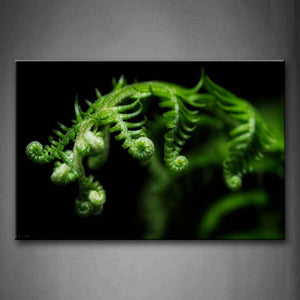 Leaves Of The Twisty Plant  Wall Art Painting The Picture Print On Canvas Flower Pictures For Home Decor Decoration Gift 