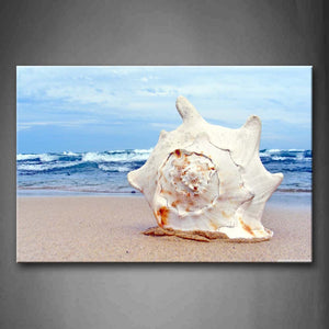 A Big Sheel On The Beach Wall Art Painting The Picture Print On Canvas Seascape Pictures For Home Decor Decoration Gift 