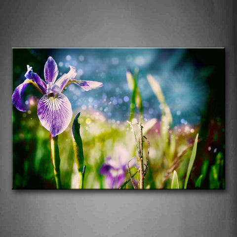 Dreamlike Purple Irises  Wall Art Painting Pictures Print On Canvas Flower The Picture For Home Modern Decoration 