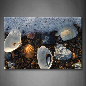 Several Shells On The Beach Wall Art Painting Pictures Print On Canvas Seascape The Picture For Home Modern Decoration 