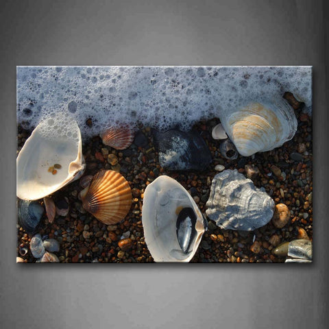 Several Shells On The Beach Wall Art Painting Pictures Print On Canvas Seascape The Picture For Home Modern Decoration 