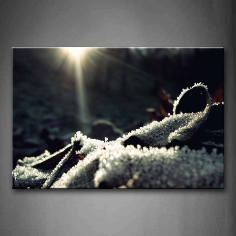 Ice Water Drop Under The Sun Wall Art Painting The Picture Print On Canvas Botanical Pictures For Home Decor Decoration Gift 