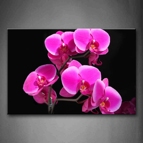 Some Pink Flowers Wall Art Painting Pictures Print On Canvas Flower The Picture For Home Modern Decoration 