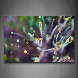 Flowers Like Stars Wall Art Painting The Picture Print On Canvas Botanical Pictures For Home Decor Decoration Gift 