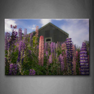 Lupines In Front Of The Small House Wall Art Painting Pictures Print On Canvas Landscape The Picture For Home Modern Decoration 