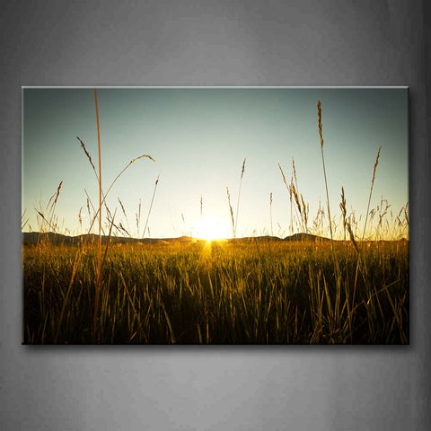 Sunbeam In The Field Grass  Wall Art Painting The Picture Print On Canvas Landscape Pictures For Home Decor Decoration Gift 