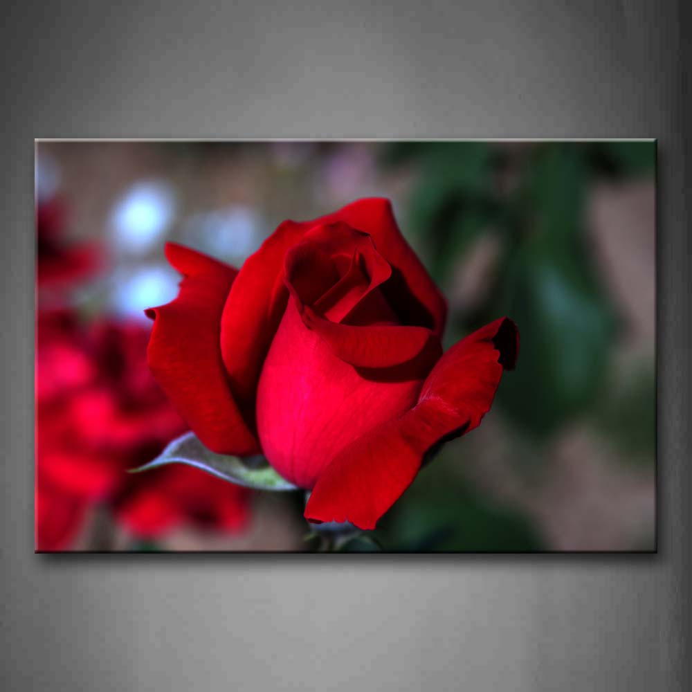 Beautiful Red Rose Wall Art Painting Pictures Print On Canvas Flower The Picture For Home Modern Decoration 