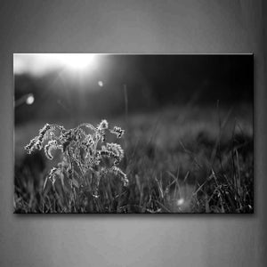 Grasses And Sunbeam Wall Art Painting Pictures Print On Canvas Botanical The Picture For Home Modern Decoration 