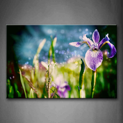 Colorful Sunbeam And Purple Flowers Wall Art Painting The Picture Print On Canvas Flower Pictures For Home Decor Decoration Gift 
