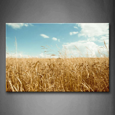 Brown Riping Wheats And Clear Sky Wall Art Painting Pictures Print On Canvas Botanical The Picture For Home Modern Decoration 