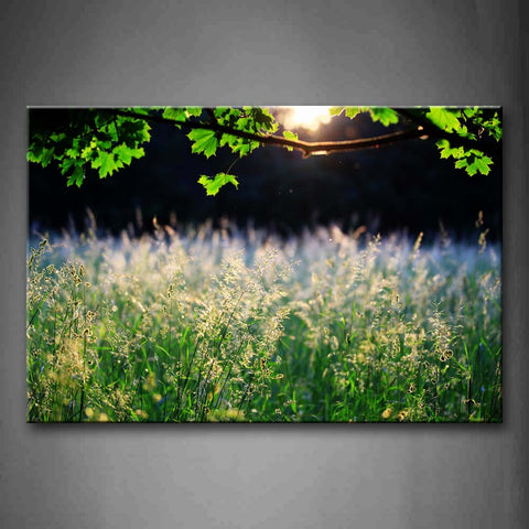 Small Light Green Field Wall Art Painting The Picture Print On Canvas Botanical Pictures For Home Decor Decoration Gift 