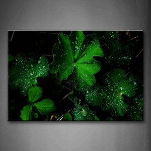 Small Water Drops On The Leaves Wall Art Painting Pictures Print On Canvas Botanical The Picture For Home Modern Decoration 