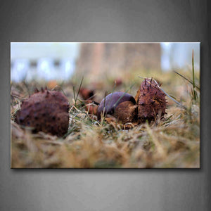 Chestnuts On The Ground Wall Art Painting Pictures Print On Canvas Botanical The Picture For Home Modern Decoration 