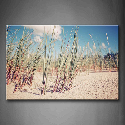 Sparse Grasses In The Ground Wall Art Painting The Picture Print On Canvas Botanical Pictures For Home Decor Decoration Gift 