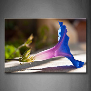 Beautiful Morning Glory Wall Art Painting Pictures Print On Canvas Flower The Picture For Home Modern Decoration 