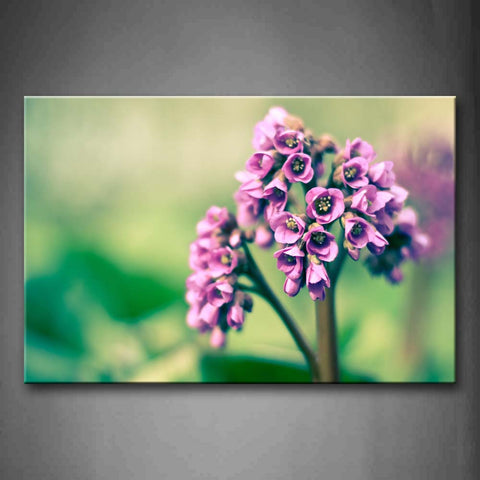 Pink Flowers Like Purple Stars Wall Art Painting The Picture Print On Canvas Flower Pictures For Home Decor Decoration Gift 