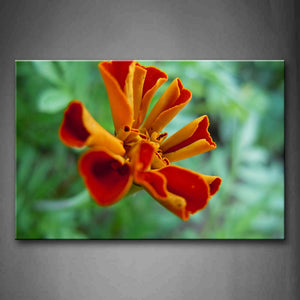 Roll Up Petals Flower  Wall Art Painting Pictures Print On Canvas Flower The Picture For Home Modern Decoration 