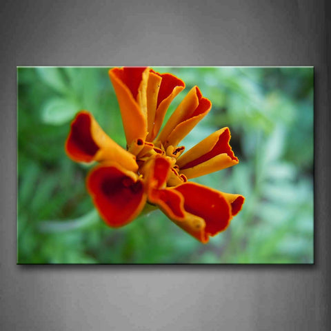 Roll Up Petals Flower  Wall Art Painting Pictures Print On Canvas Flower The Picture For Home Modern Decoration 