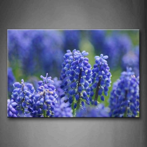 Light Blue Flowers Wall Art Painting Pictures Print On Canvas Flower The Picture For Home Modern Decoration 