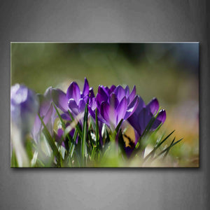 Pink Purple Flowers With Green Leaves Wall Art Painting Pictures Print On Canvas Flower The Picture For Home Modern Decoration 