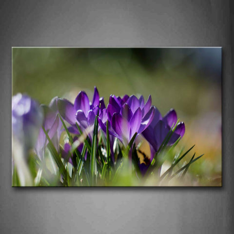 Pink Purple Flowers With Green Leaves Wall Art Painting Pictures Print On Canvas Flower The Picture For Home Modern Decoration 