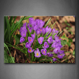 Pink Small Slice Purple Flowers Wall Art Painting Pictures Print On Canvas Flower The Picture For Home Modern Decoration 